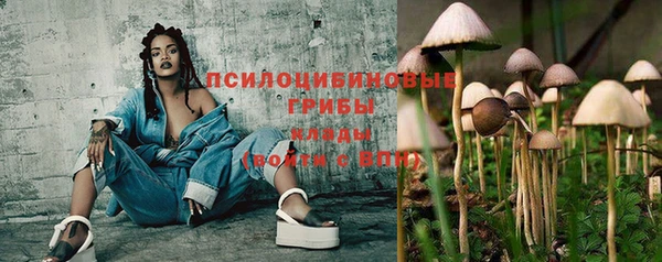 MDMA Беломорск