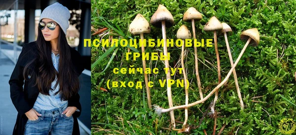 MDMA Беломорск